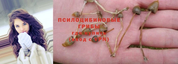 спиды Балабаново