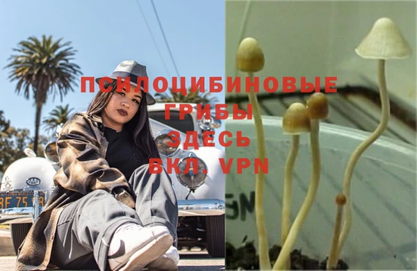 прущий лед Балахна