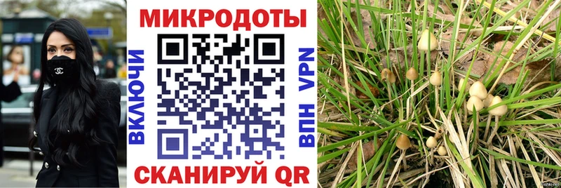 Псилоцибиновые грибы Psilocybe  Благодарный 